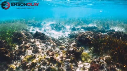 Yeni teknoloji ile deniz suyundan kritik mineraller elde edilebilir mi?