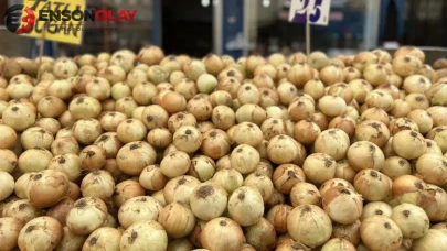 Kuru soğan ithalatında yeni düzenleme : Gümrük vergisi yüzde 5’e indirildi