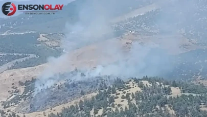 Kahramanmaraş'ta orman yangını : Ekiplerin müdahalesiyle söndürüldü