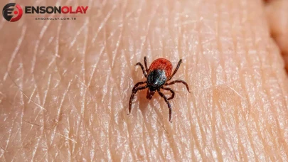 Tokat'ta KKKA alarmı : 3 kişi hastaneye kaldırıldı