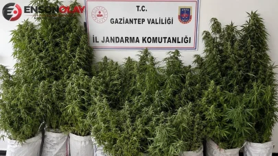 Gaziantep'te kaçakçılık ve uyuşturucu operasyonu : 46 tutuklama