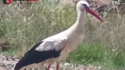 Keşan'ın da "Yaren"i olabilir!