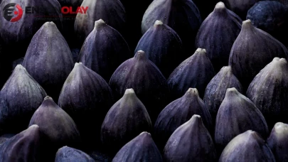 Kabızlığı Gideren, Bağırsakları Rahatlatan Doğal İksir: Kuru İncir ile Bağırsak Sağlığınızı Destekleyin