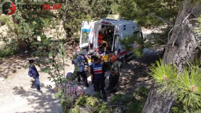 Bolu'da traktör kazası : Römorktan düşen 2 kişi yaralandı
