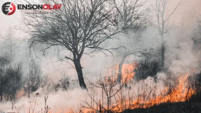 Ankara'da ot yangını : Havadan ve karadan müdahale ediliyor
