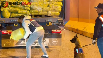 Van'da tıra uyuşturucu operasyonu : 2 gözaltı