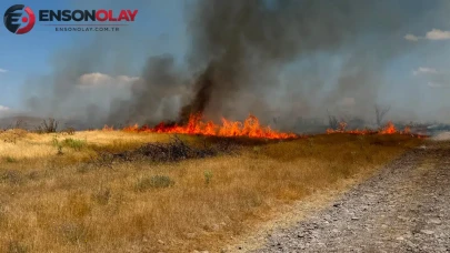 Konya Kulu'da anız yangını : İtfaiye ve vatandaşlar seferber oldu