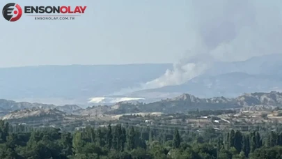 Denizli'de Hierapolis Antik Kenti yakınlarında yangın