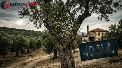 40 yıllık zeytin şirketine bir yıl mühlet! Konkordato süreci başladı