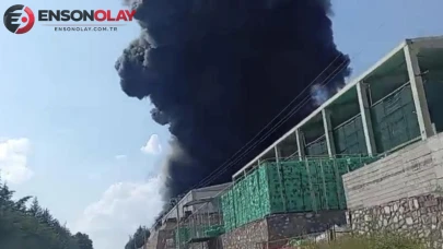 Yoğun duman kenti kapladı! Fabrika yangınına müdahale ediliyor
