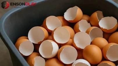 Yıllardır Çöpe Atıyorduk! Yumurta Kabuklarının Bu Kullanım Alanlarını Öğrenince Biriktirmek İsteyeceksiniz