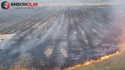 Kastamonu Tosya'da tarım arazilerinde yangın : 400 dönüm alan zarar gördü