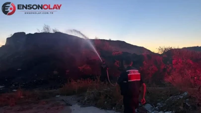 Bilecik'te ot ve çalılık yangını ekiplerin müdahalesiyle söndürüldü