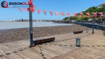 Zonguldak'ta denize girme yasağı sona erdi : Plajlarda yoğunluk yaşandı