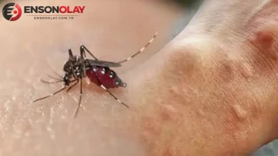 Sivrisineklerden korunmanın en etkili yolları nelerdir?