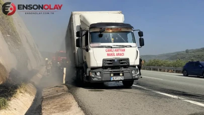 Bursa'nın Gemlik ilçesinde korkunç yangın: Hayvan taşıma aracı alevlerin arasında kaldı