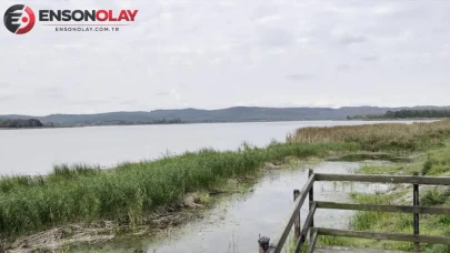 Tekirdağ’da gölette alarm ! Su seviyesi düşünce çok sayıda balık telef oldu