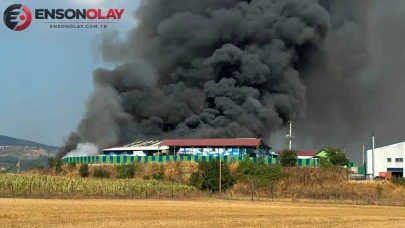 Bolu'da geri dönüşüm tesisinde yangın