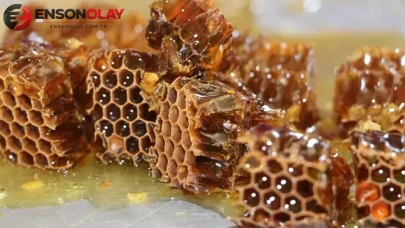 Anzer balında rekor fiyat! 7 bin liradan satılacak
