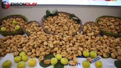 Aydın'da sezonun ilk kuru inciri sembolik olarak 850 liradan alıcı buldu