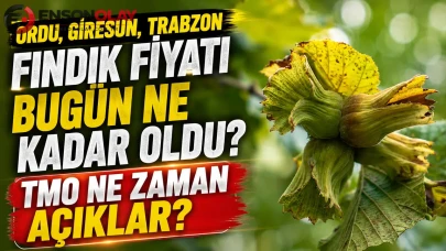 Fındık fiyatlarındaki dalgalanma sektörü endişelendiriyor