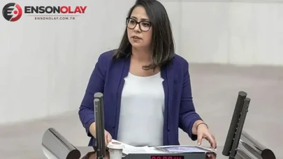 Sera Kadıgil kimdir? Seda Kadıgil hakkında neden soruşturma açıldı?