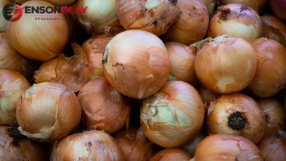 Soğan fiyatlarındaki artış nedeniyle filizlenme sorununa çözüm arayışı başladı!
