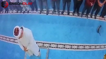 Erzurum'da camide kediyi tekmeleyen şahıs gözaltına alındı