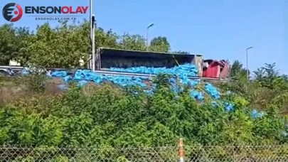 Sakarya TEM Otoyolu'nda kömür yüklü kamyon devrildi