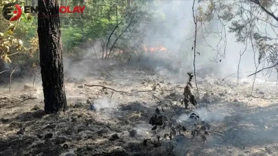 Ankara'da ot yangını : Geniş alana yayılan alevler kontrol altına alındı