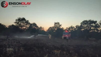 Pazaryeri, Bilecik'te Orman Yangını Kontrol Altına Alındı