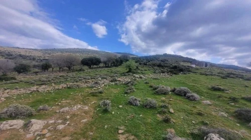 30 hektarlık arazi üzerine kurulacak olan güneş tarlası projesi hayata geçiriliyor!