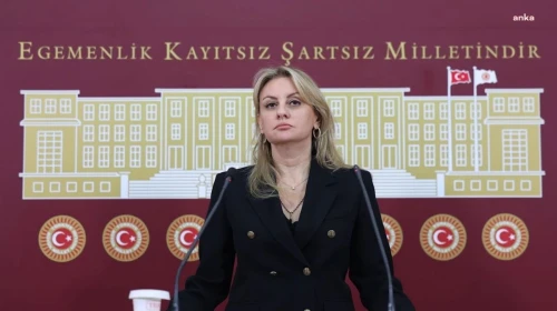 DEVA'dan istifa eden Seda Kaya Ösen CHP’ye katılıyor