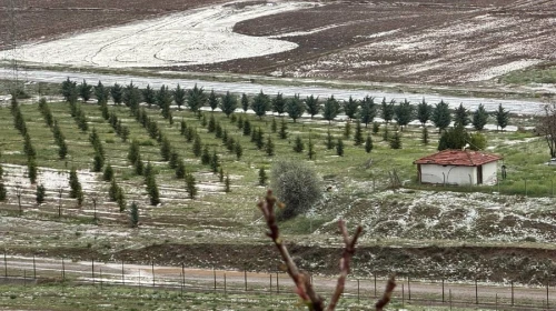 Fırtına sonrası dolu yağışı çiftçiler için yine büyük bir zarara yol açtı!