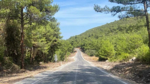 İzmir Urla'da Yaşam Kalitesi Artırılıyor: Belediye Yoğun Mesai Harcıyor!