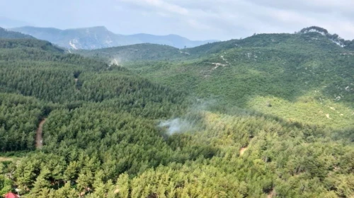 Osmaniye'de orman yangınlarına kökten tedbir! Girişler yasaklandı
