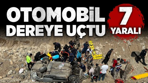Otomobil dereye uçtu: 7 yaralı
