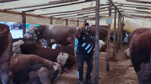 Sivrisineklerle mücadele çalışmaları hız kesmeden devam ediyor.