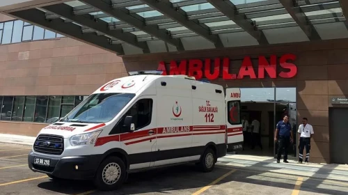 Sivas'ta Boynuna Baltayla Vurulan 70 Yaşındaki Adam Hayatını Kaybetti