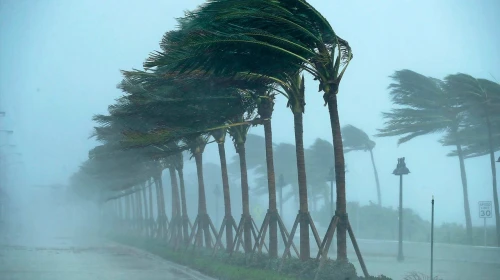 Meteoroloji, Ege Bölgesi için toz fırtınası ve ağaç devirme riskine dikkat çekti!