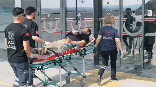 Kurban Bayramı'nda acemi kasaplar hastanelik oldu!
