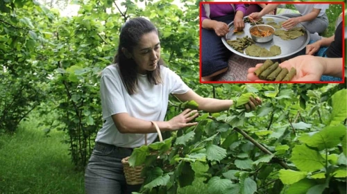 Karadeniz'in Derinliklerinde Keşfedilen Şifa Kaynağı Doğrulandı, Bilim Dünyasını Şaşırttı!