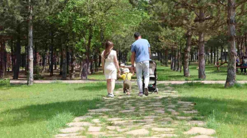 Eskişehir'de "Bİ’fikirle hep birlikte Eskişehir" katılımcı bütçe uygulamasında 26 farklı proje onaylandı