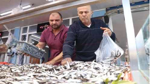 Kış Mevsimi Yaklaşırken Balık Fiyatları da Düşüş Trendinde! Kilo Fiyatı 200 TL'den Başladı, İndikçe İndi!