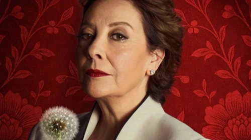 Mediha'dan Kıskançlık Krizi! Ayda Aksel'in Sıra Dışı Kariyeri ve Başarıları Sosyal Medyayı Sallıyor!
