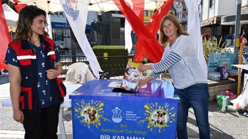 Yalova Belediyesi, sokak hayvanları için 'Askıda Mama' kampanyası başlattı, Uğur Mumcu Kültür Merkezi'nde bağışlar toplanmaya başlandı.