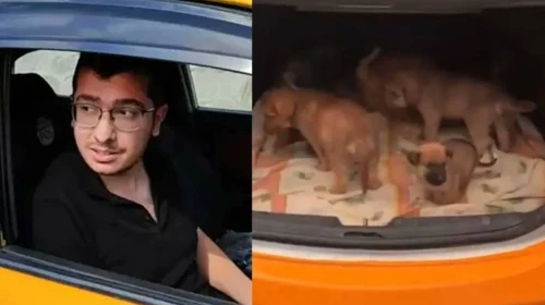 Sokak köpeklerini öldüren Duman'a mahkemeden ceza