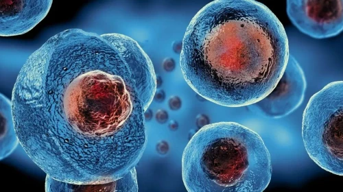 Yeni çalışma: Hücre ölümü sırasında dahi virüse rehberlik ediyor