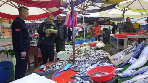 Zabıta ekipleri, balık satış yerlerinde ortak denetim yapacak