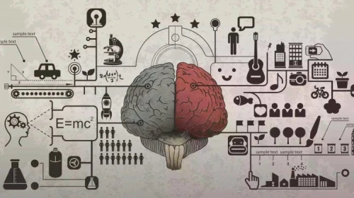 Hafızayı Güçlendirme ve Öğrenme Sanatı: Beyninizi Aktif Tutacak 7 Öneri